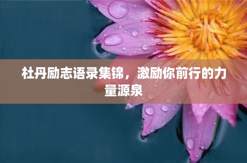 杜丹励志语录集锦，激励你前行的力量源泉