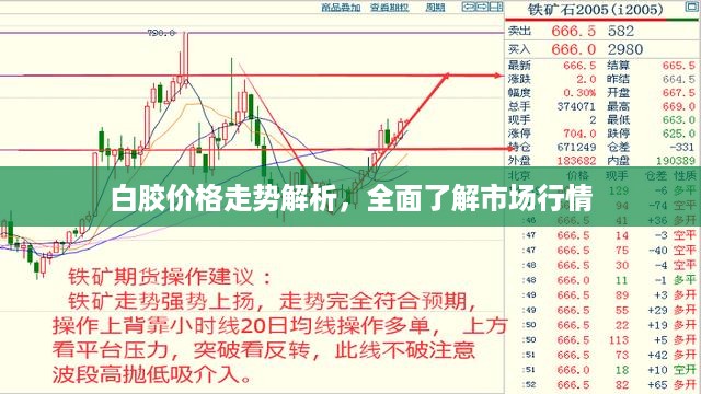 白胶价格走势解析，全面了解市场行情